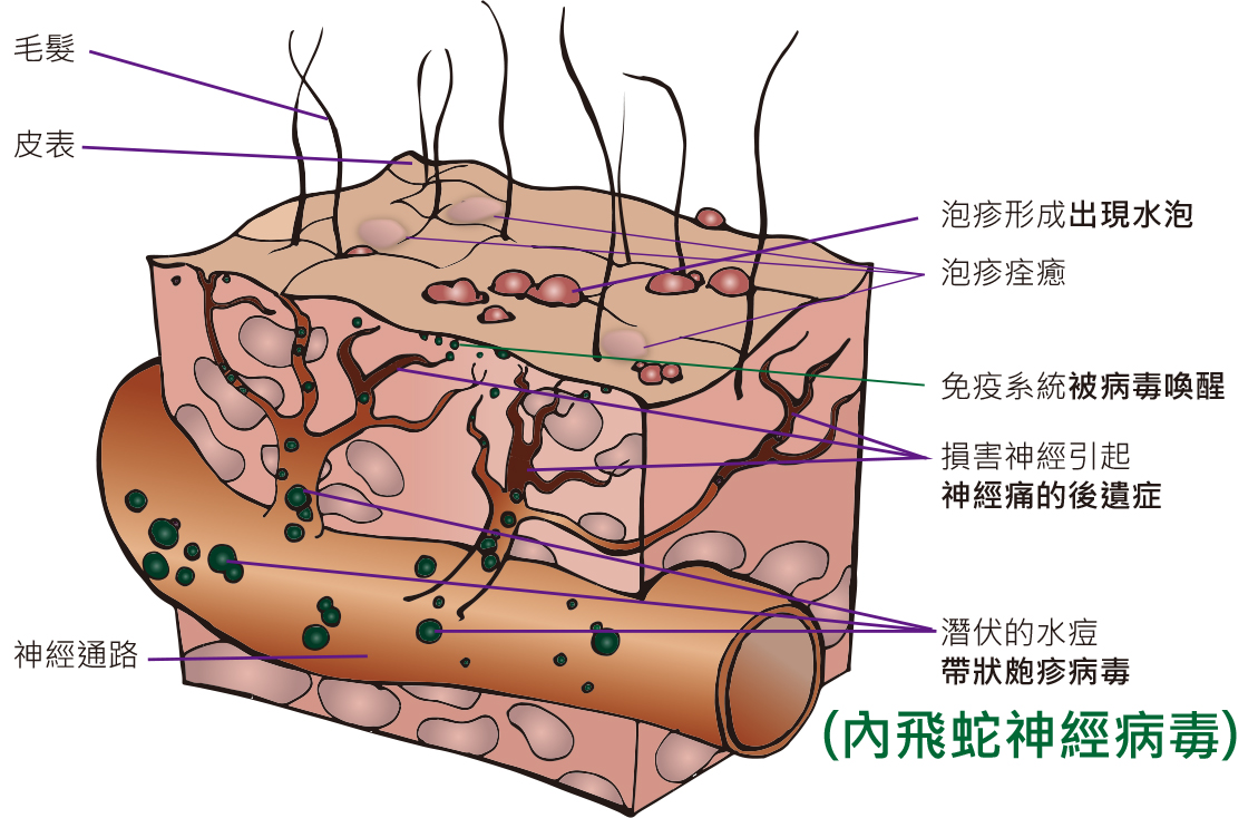 proimages/case/case67-d.jpg